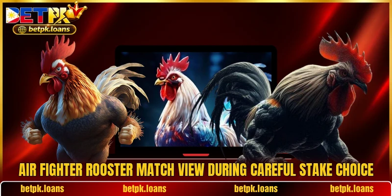 Air Fighter Rooster match view during careful stake choice