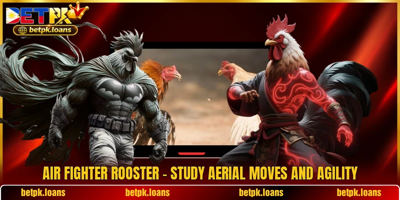 Air Fighter Rooster - Study Aerial Moves And Agility