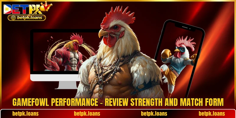 Gamefowl Performance - Review Strength And Match Form