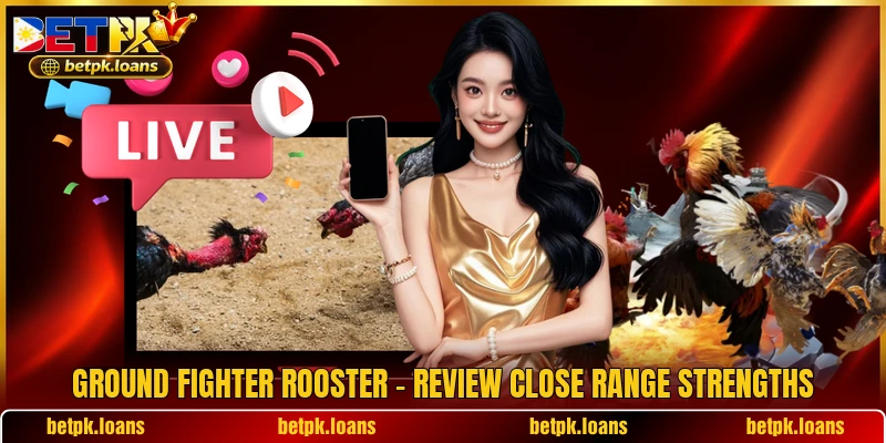 Ground Fighter Rooster - Review Close Range Strengths
